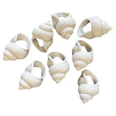 Vintage Ceramic Sea Shell Napkin Rings in Gray - Set of 8