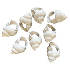 Portatovaglioli in ceramica vintage con conchiglia di mare in grigio - Set di 8