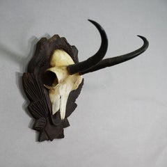 Vintage Chamois Trophy on Carved Plaque, Germany 1950s