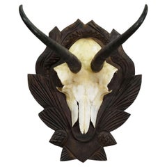 Decorative Art