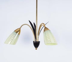 Vintage Chandelier in Brass with Glass Shades, 1950s
