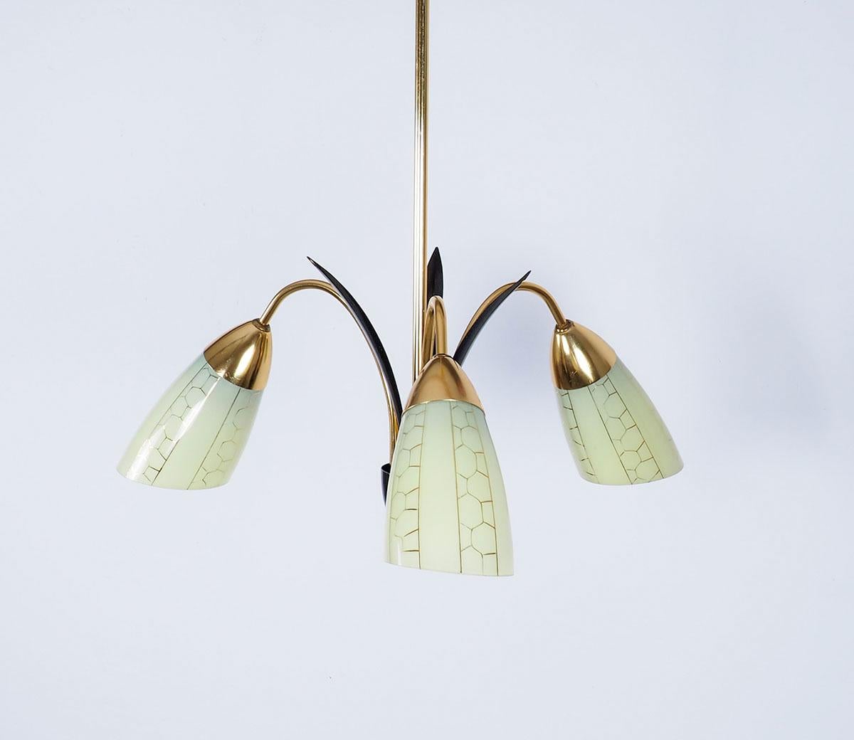 Vintage Chandelier in Brass with Glass Shades, 1950s For Sale 1