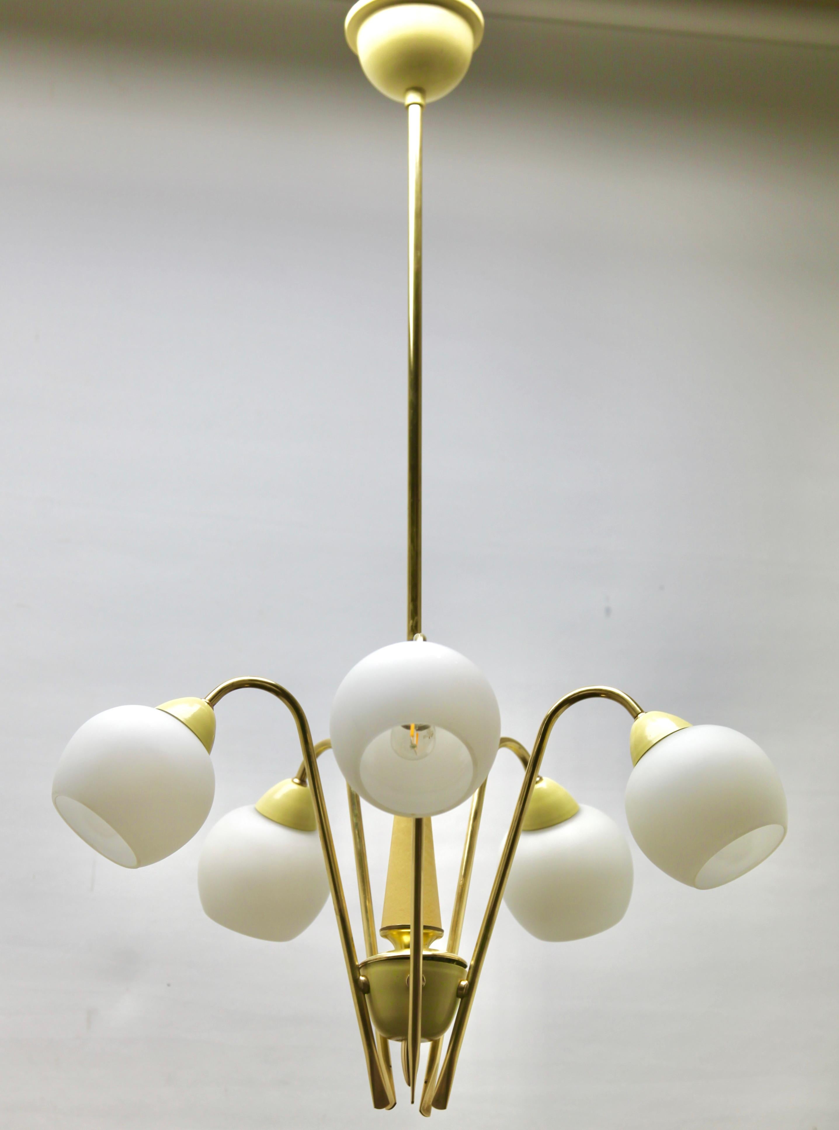 Vintage Chandelier in the Style of Stilnovo Five Arms Italian, 1960s For Sale 6