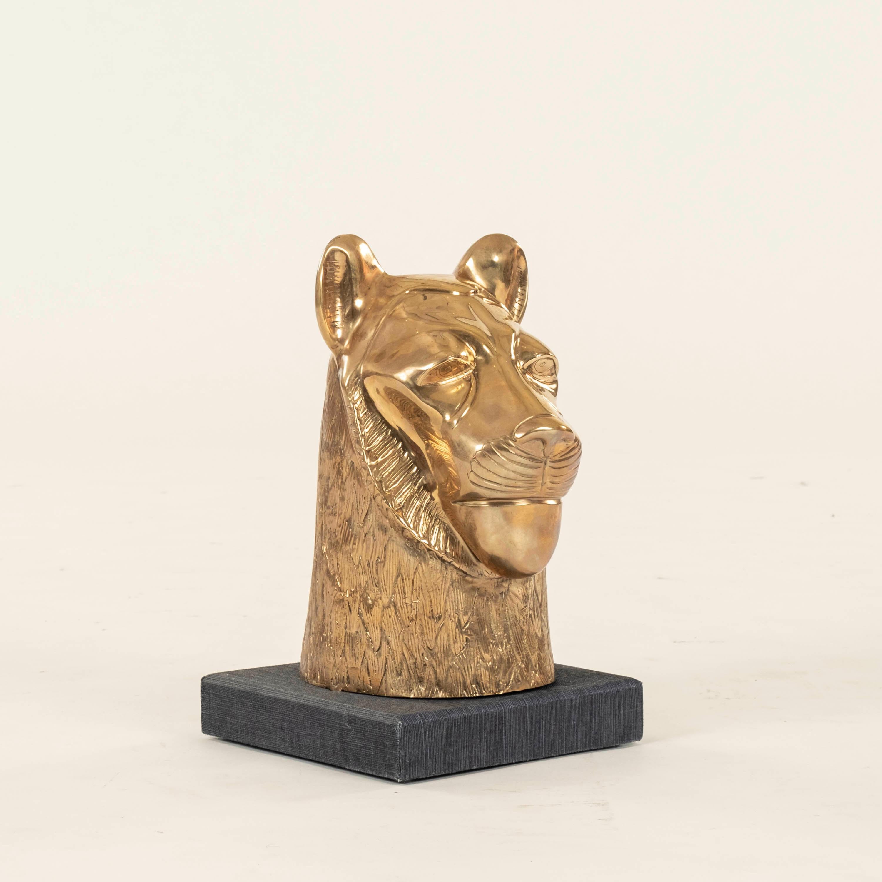 Busto di leonessa in ottone Vintage Wood su una base in legno rivestita in tessuto.