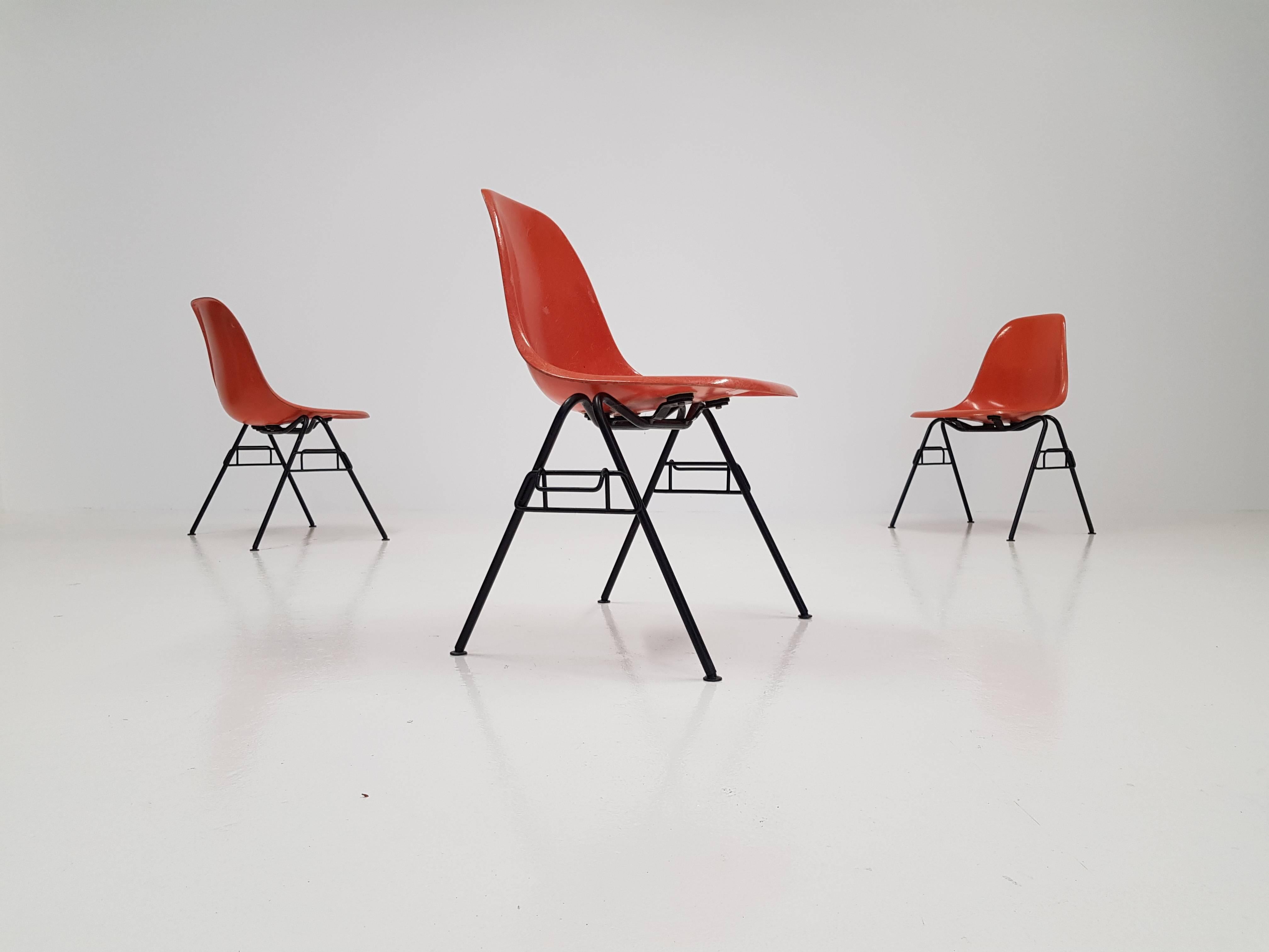 Vibrant deep orange red fibreglass Charles and Ray Eames designed Herman Miller DSS stacking chair with black base.

 