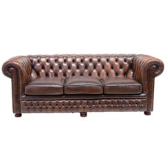 Vintage Chesterfield Sofa Three-Seat in Antique Brown Leather