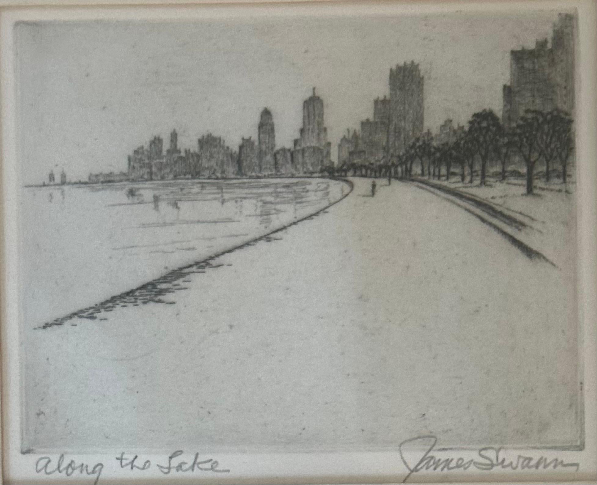 Vintage Chicago / Lago Michigan Grabado 