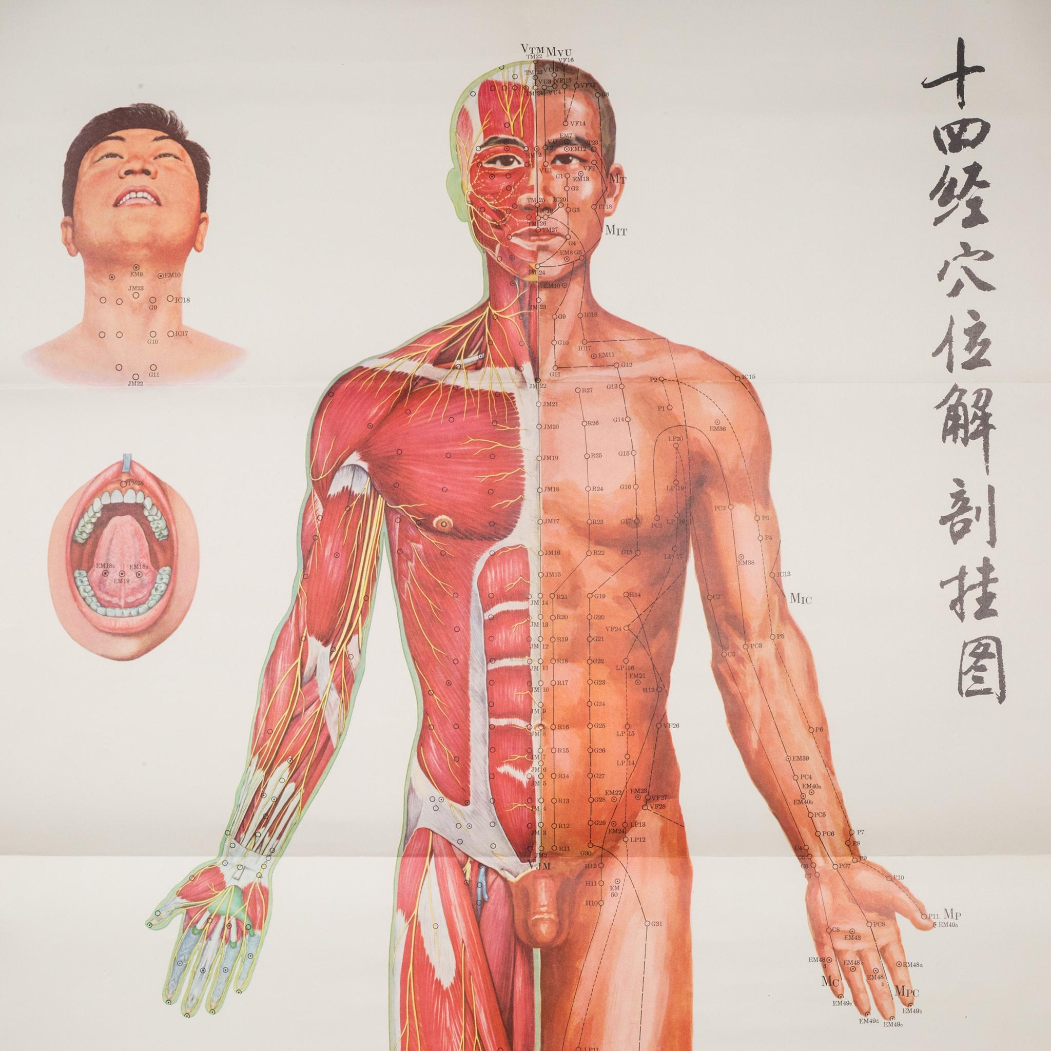 vintage acupuncture posters