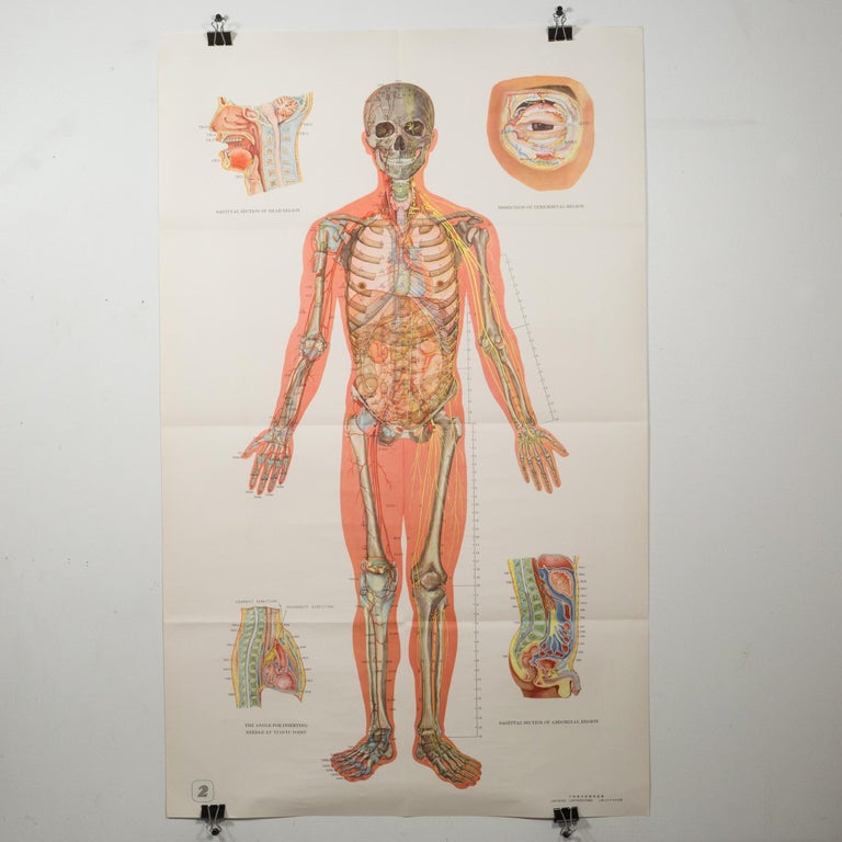 American Vintage Chinese Acupuncture Posters c.1976