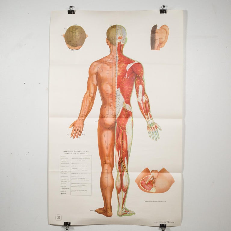 Paper Vintage Chinese Acupuncture Posters c.1976
