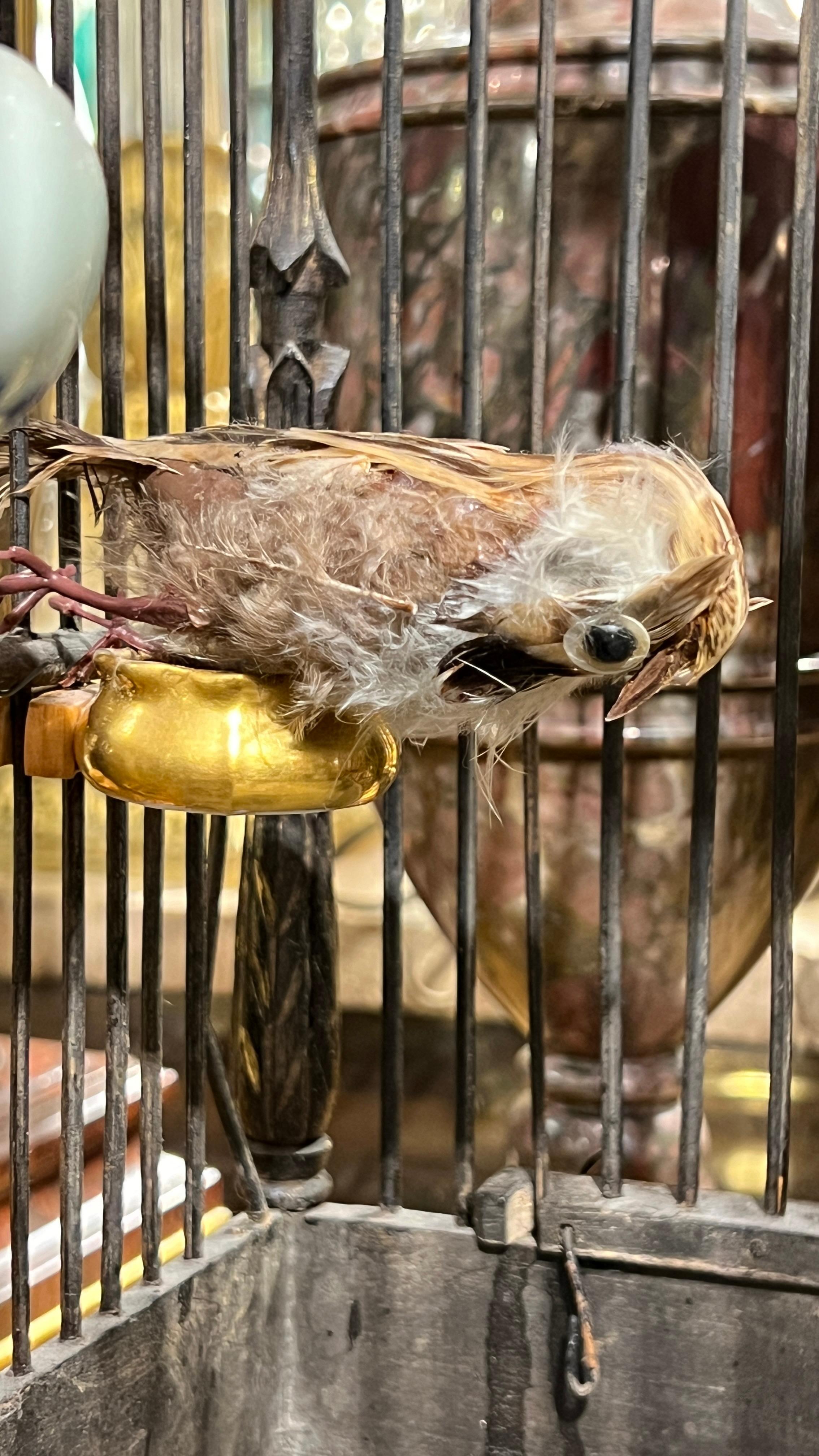 Vintage  Chinese Bird Cage with Porcelain Feeders For Sale 9