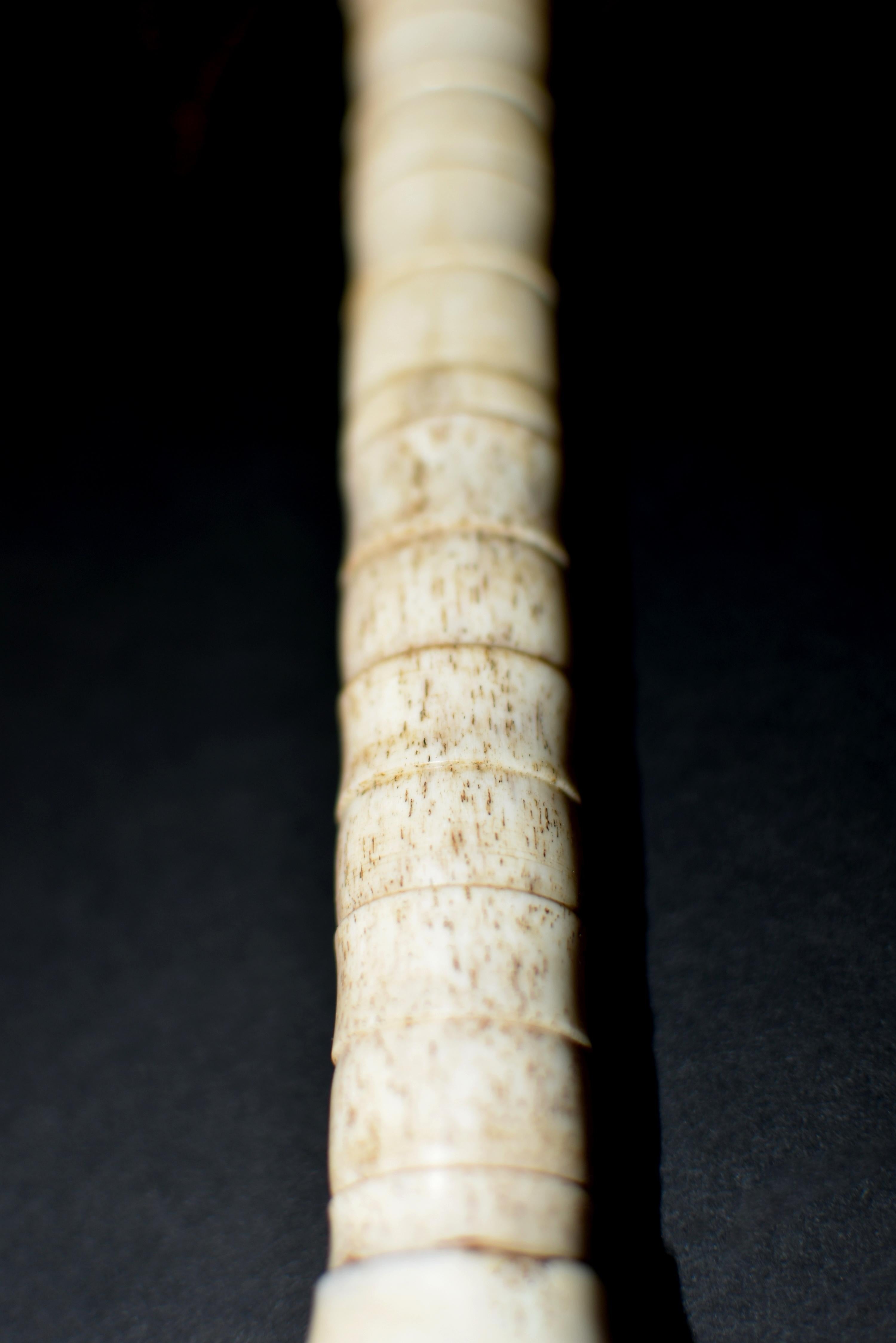 Hand-Crafted Vintage Chinese Bone Calligraphy Brush For Sale