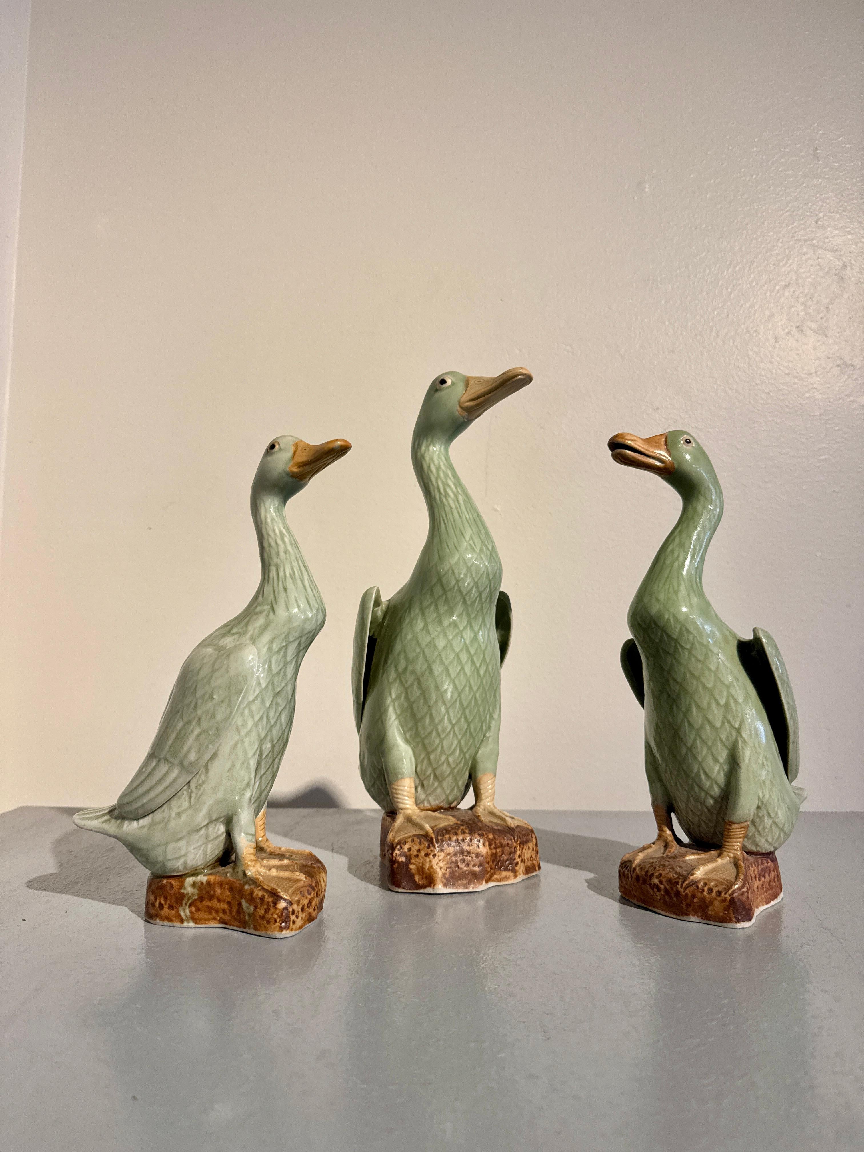 Un ensemble absolument ravissant de trois canards en porcelaine d'exportation chinoise émaillée céladon, vers les années 1970, Chine. 

Les trois canards sont représentés de façon similaire, debout sur des pattes palmées, les ailes près du corps, le