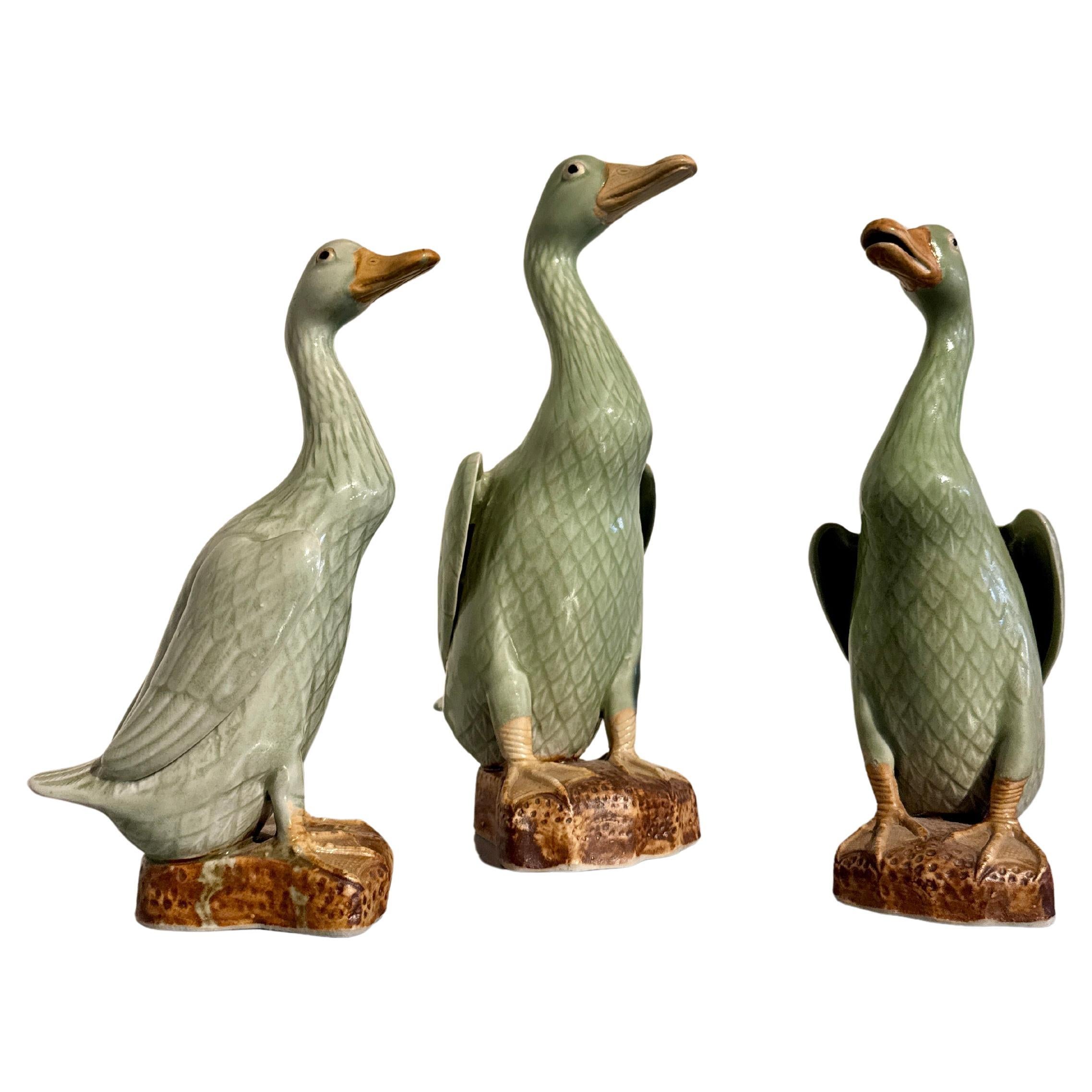 Juego de 3 patos de porcelana china de exportación esmaltada en celadón, años 70, China
