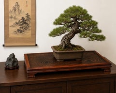 Vintage Chinese Figured Hardwood Bonsai or Scholar’s Display Stand, circa 1960s