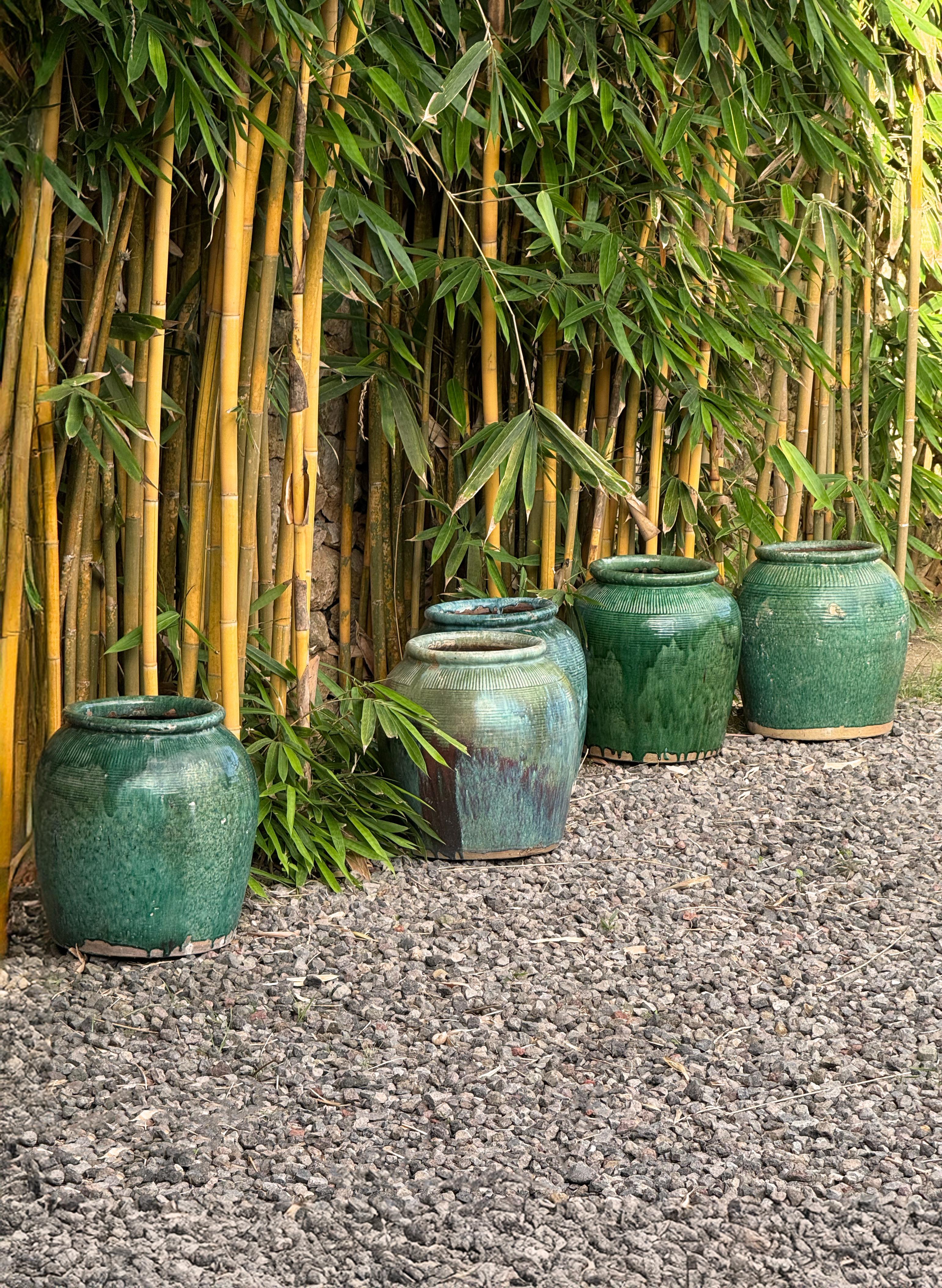 Questo barattolo cinese d'epoca per la salsa di soia presenta uno splendido smalto verde con bellissime variazioni naturali che scorrono organicamente sulla sua superficie. Il corpo superiore a coste aggiunge una texture sottile, mentre la forma