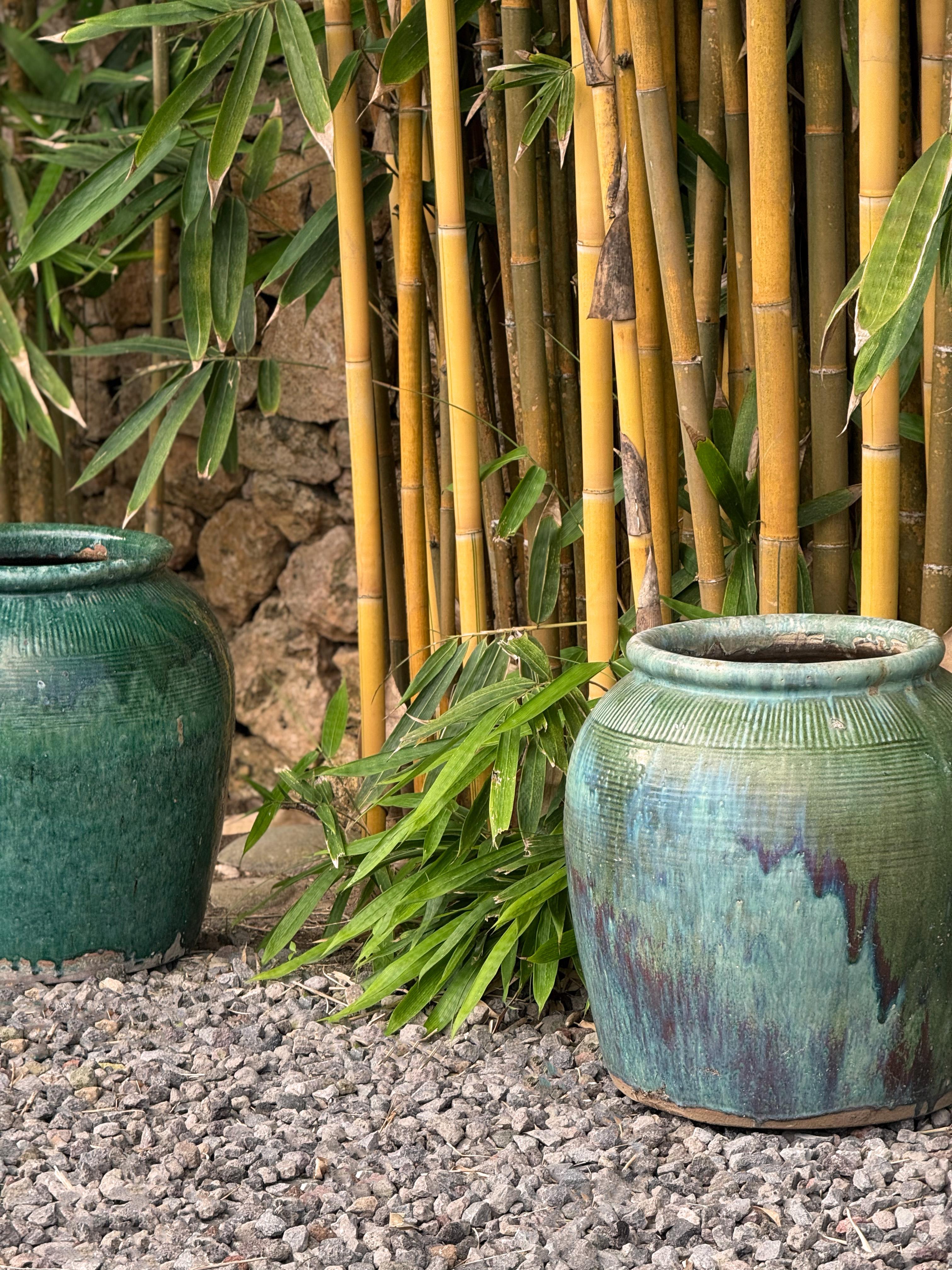 Cinese Vasetto di salsa di soia cinese d'epoca in ceramica smaltata verde in vendita