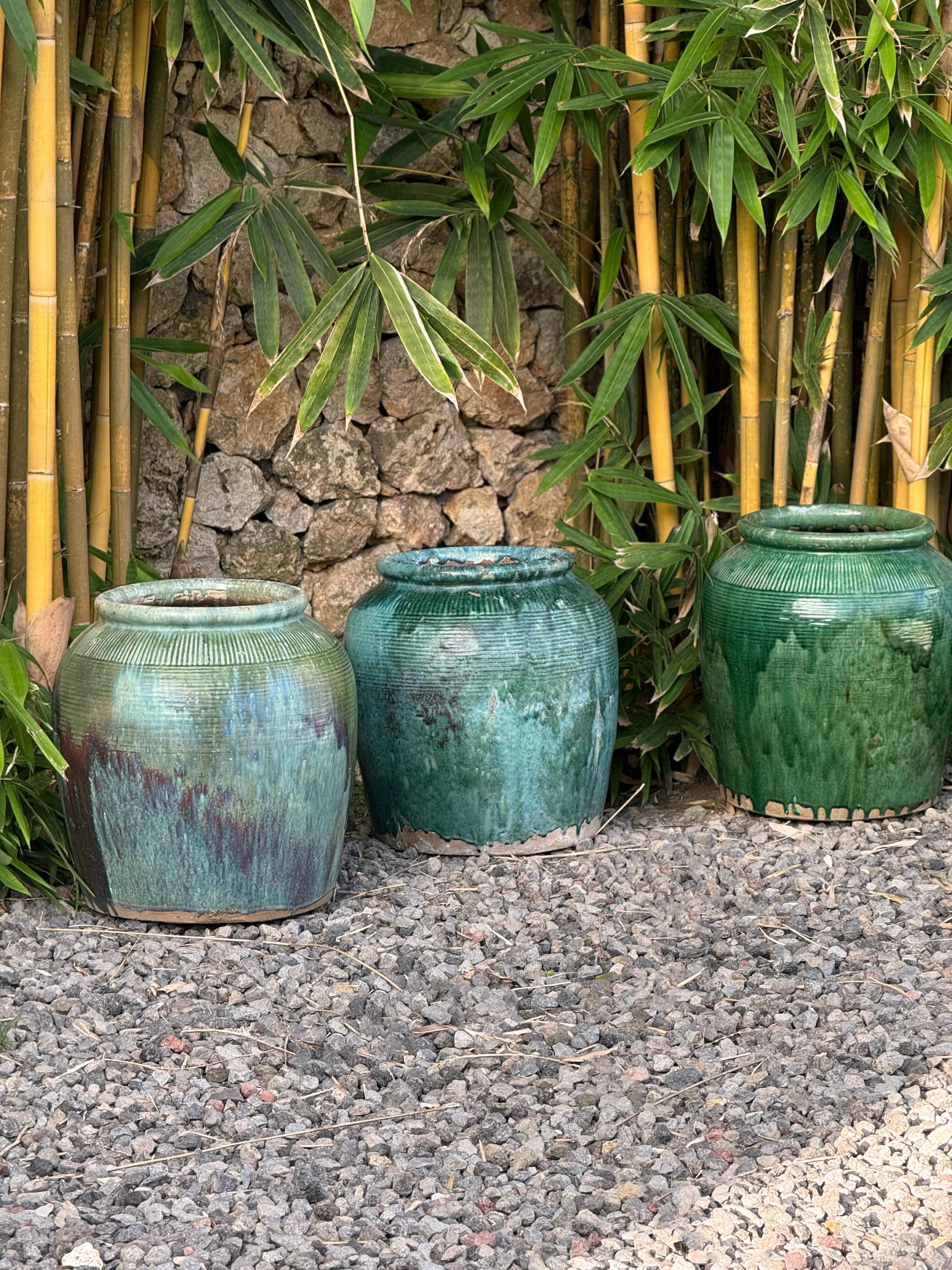 Cinese Vasetto di salsa di soia cinese d'epoca in ceramica smaltata verde in vendita