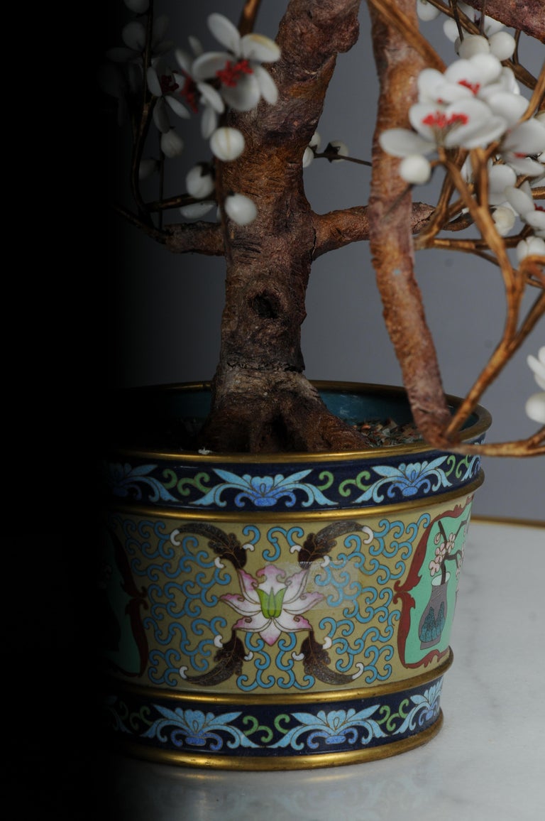 Vintage Chinese Jade Edelstein Bonsai Baum Skulptur, Cloisonn Pflanzer im  Angebot bei 1stDibs Deutschland