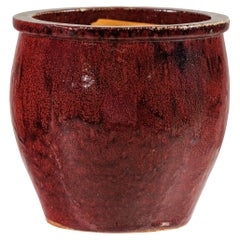 Maceteros, Cachepots y Jardineras