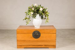 Vintage Chinese Pine Blanket Chest or Coffee Table with Brass Hardware
