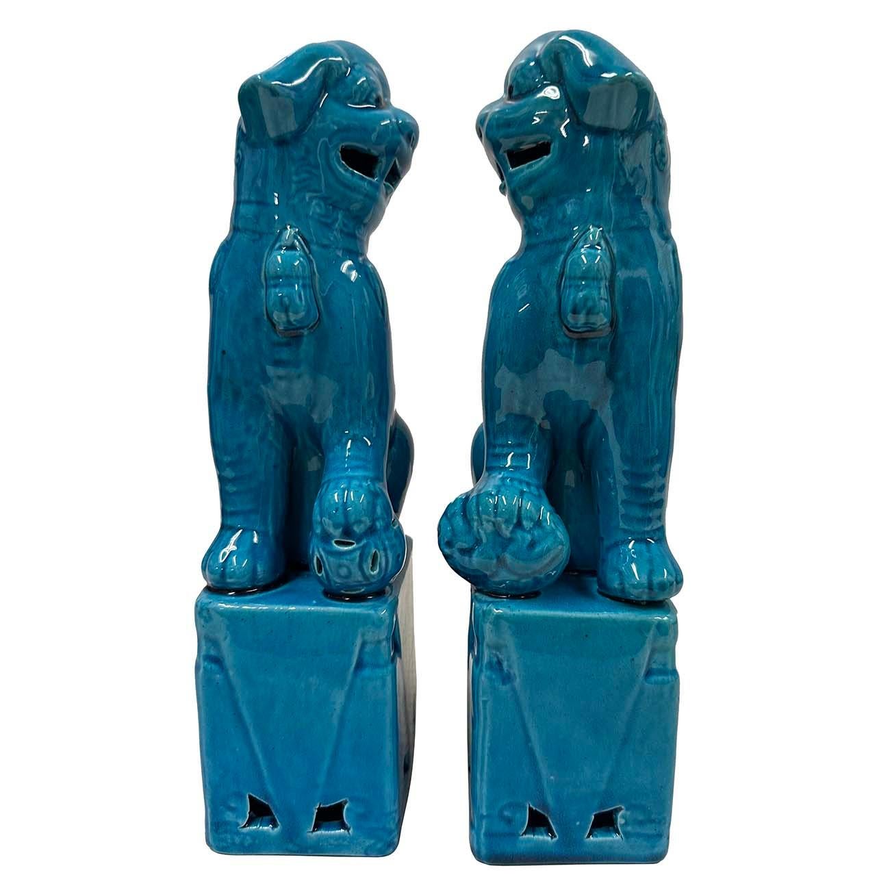 Esportazione cinese Figurine di cane Foo in porcellana cinese turchese d'epoca - una coppia in vendita