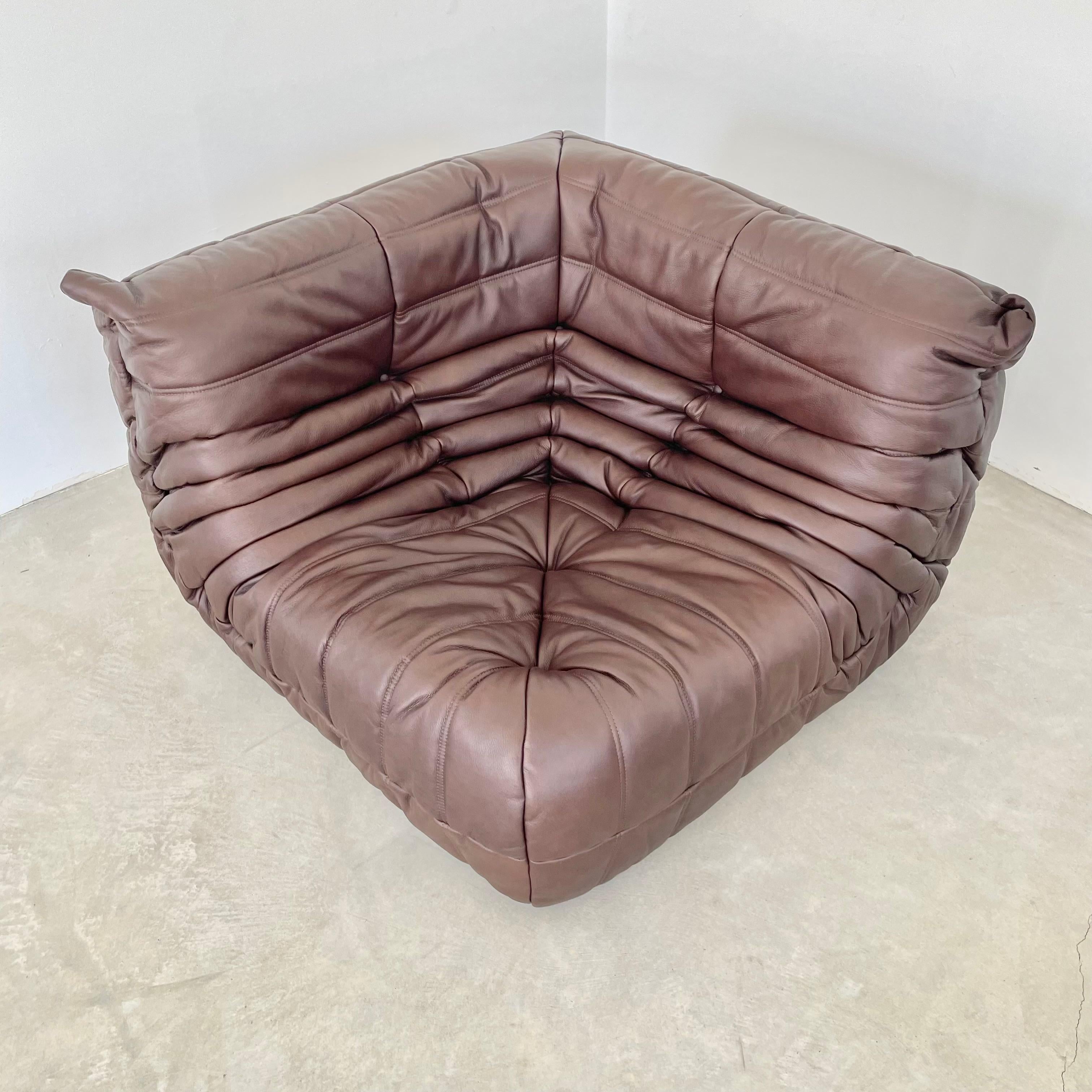 Chocolate Brown Leather Togo Set by Ligne Roset, 1990s France For Sale 1