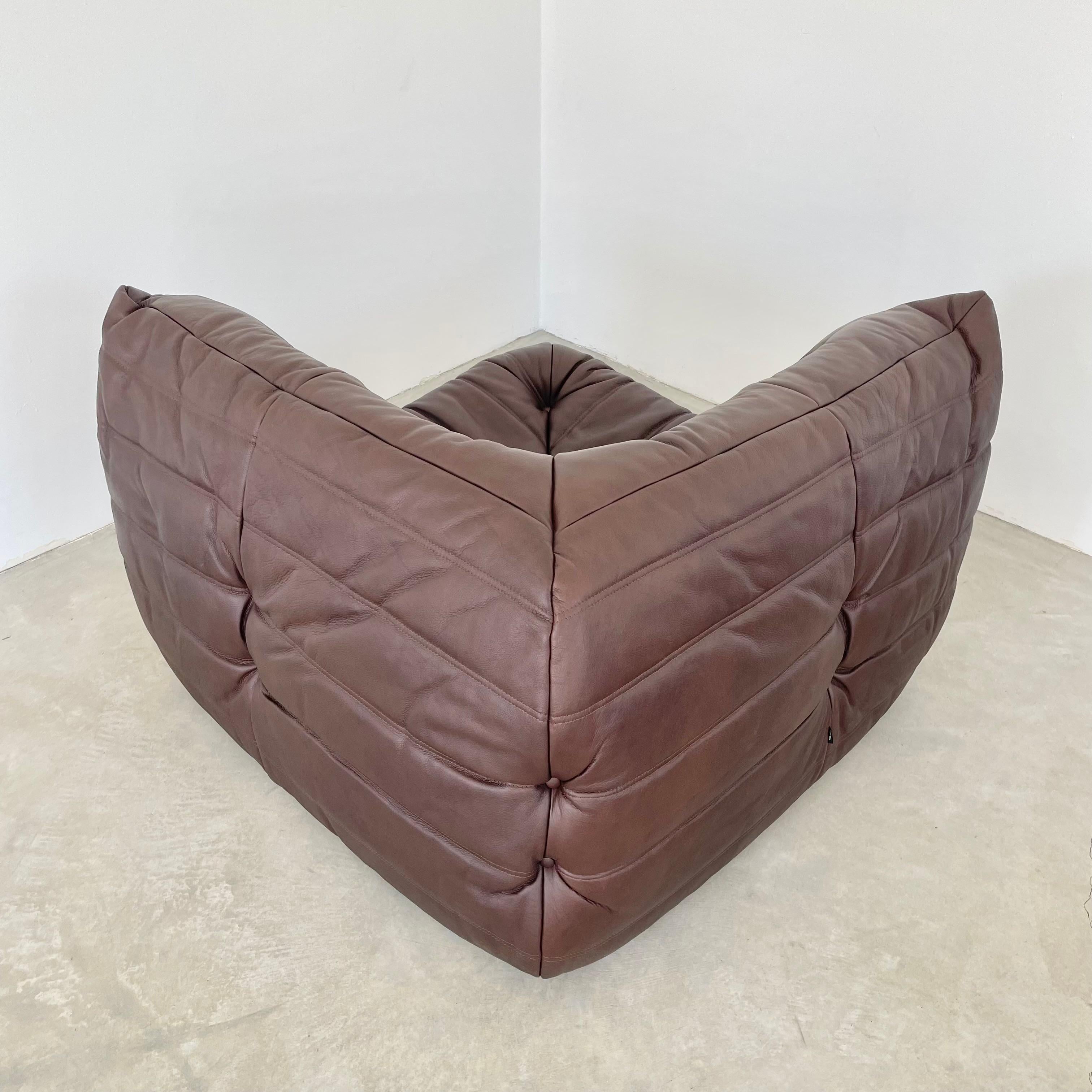 Chocolate Brown Leather Togo Set by Ligne Roset, 1990s France For Sale 2
