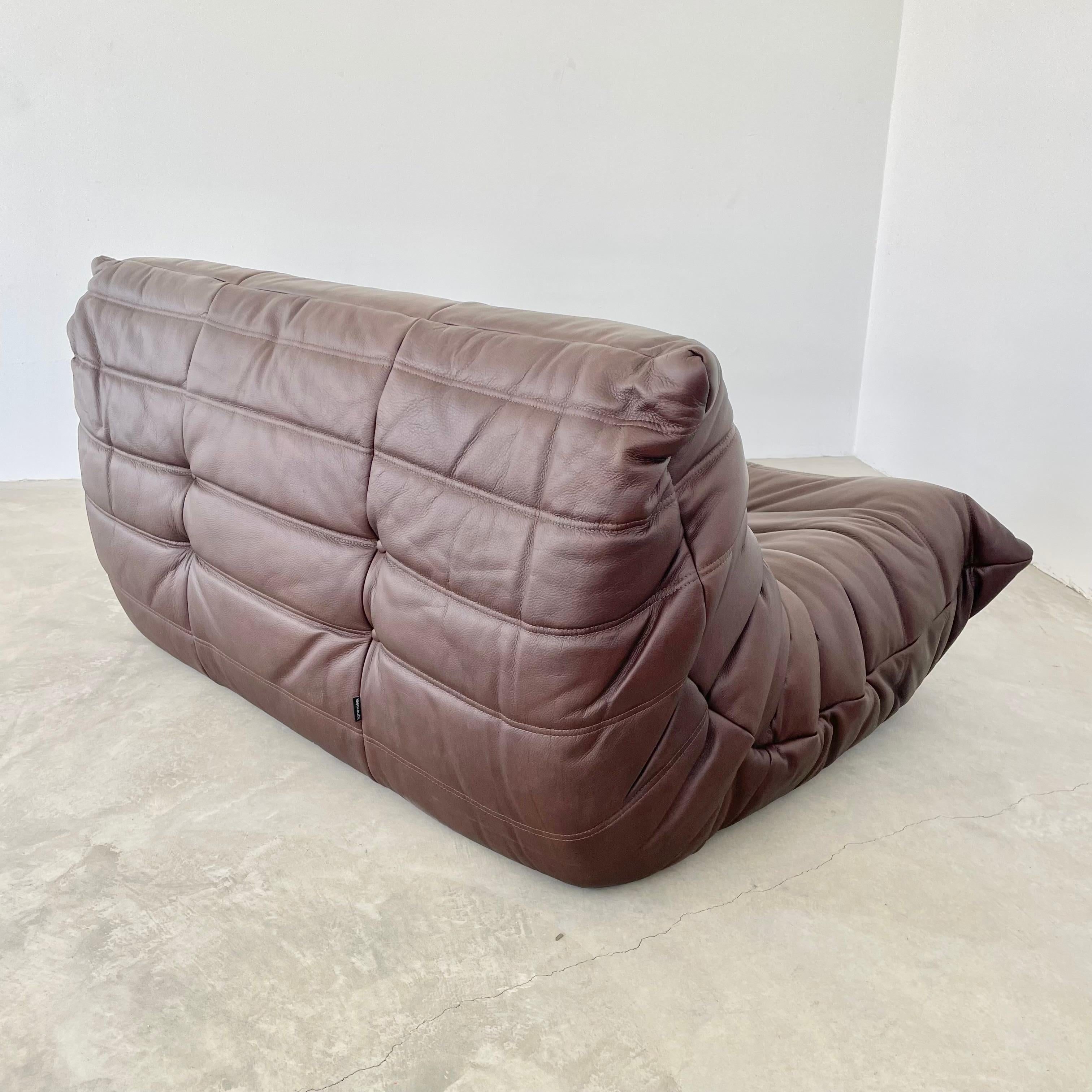 Chocolate Brown Leather Togo Set by Ligne Roset, 1990s France For Sale 4