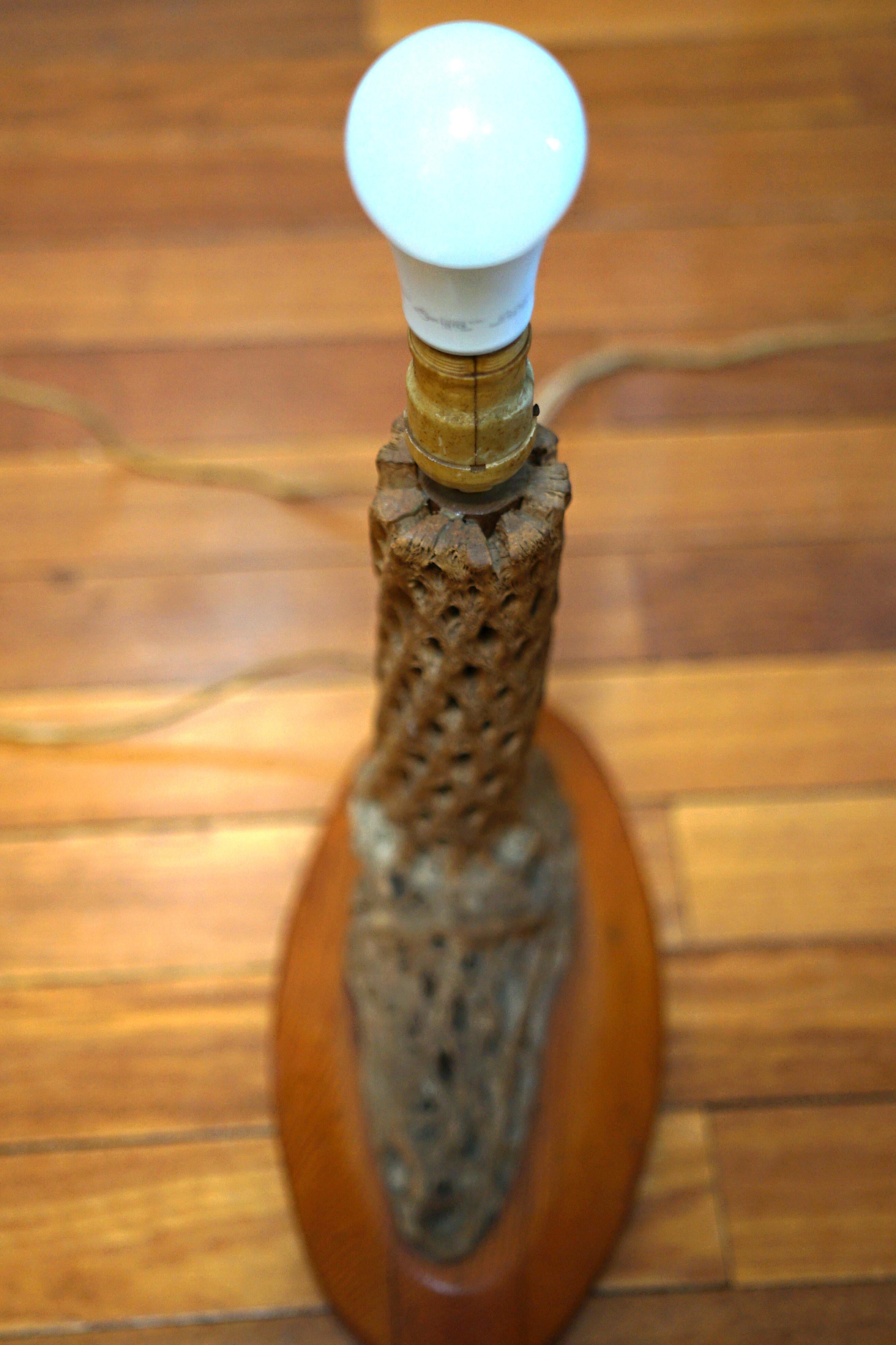 Driftwood Vintage cholla wood Table Lamp on Maple Base with Original Shade For Sale