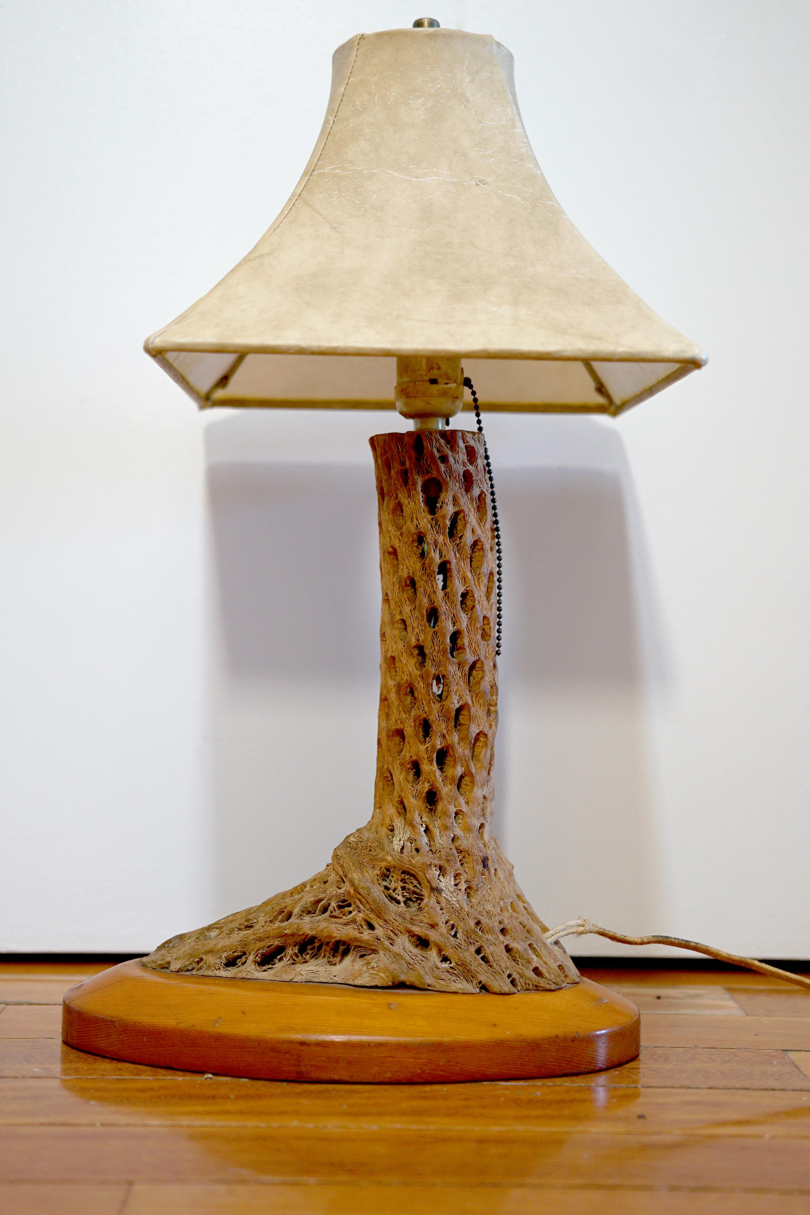 Le look midcentury de cette lampe en bois de cholla et érable crée un moment d'éclairage important. L'ambiance est quelque peu rustique, car la lampe ressemble à un tronc d'arbre. De la base à l'abat-jour en forme de boîte originale, elle offre une