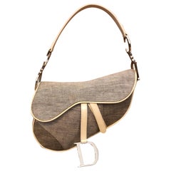 CHRISTIAN DIOR Satteltasche aus grauem Segeltuch