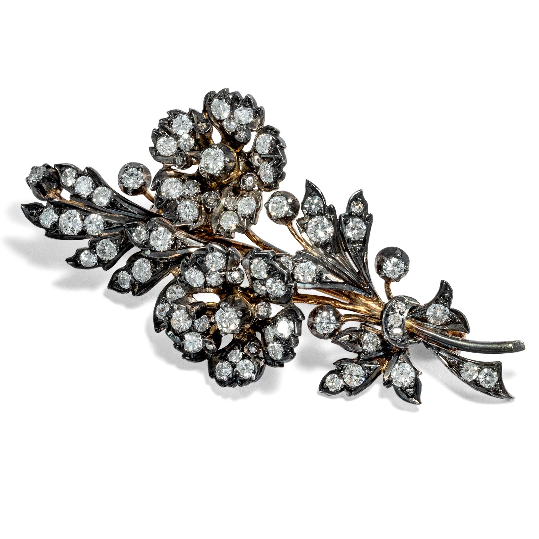 Floral branches, fashioned from dozens of gleaming diamonds in a bed of gold and silver, were a preferred ornament of the Belle Époque in the late years of the 19th century. The floral brooch at hand takes up this motif – yet the cuts of its