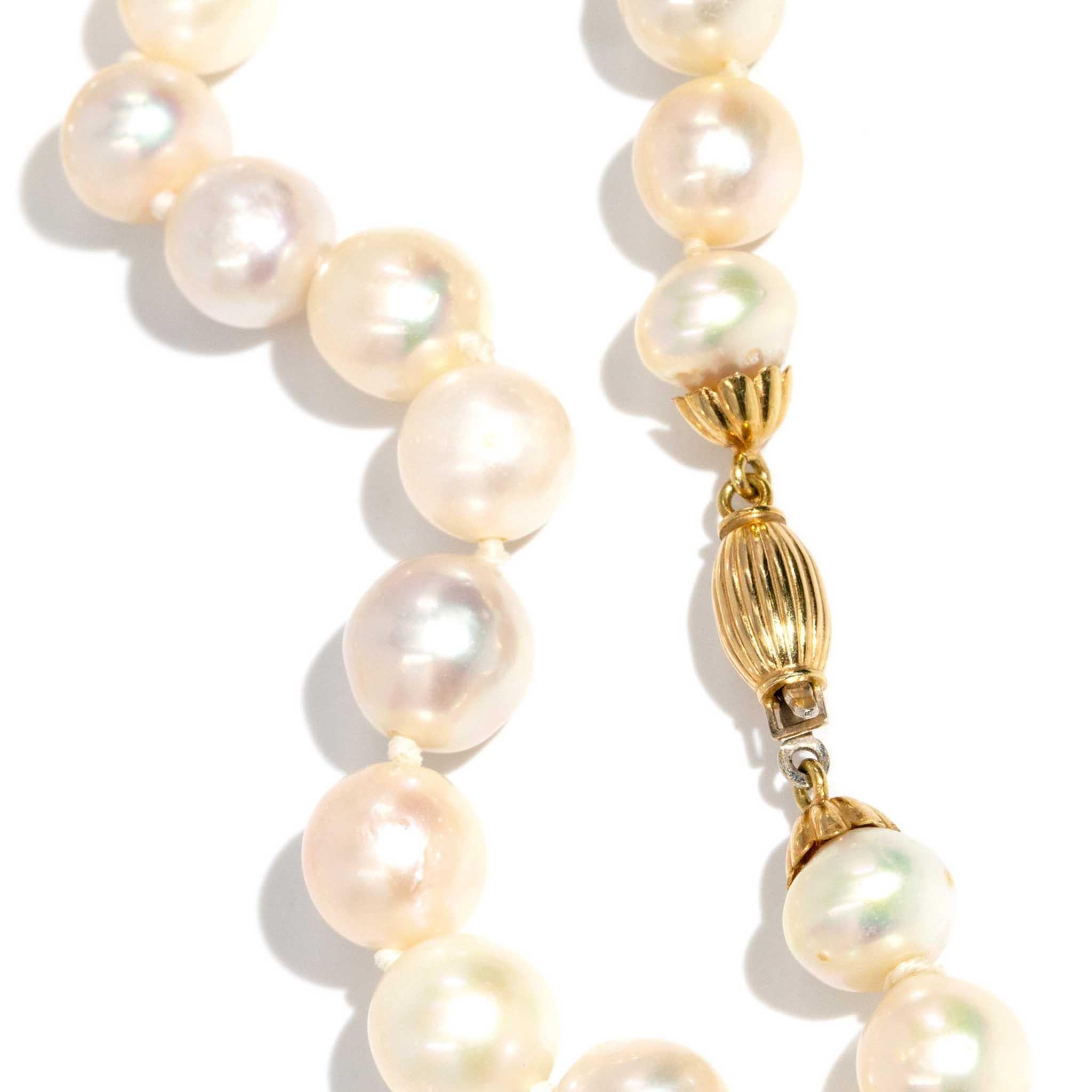 Round Cut Vintage Circa 1980s Akoya Pearl Strand Necklace 18 Yellow Gold Clasp For Sale