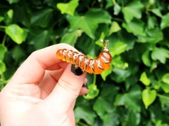 Vintage Citrine and Diamond 18k Yellow Gold Caterpillar Brooch, Circa 1950