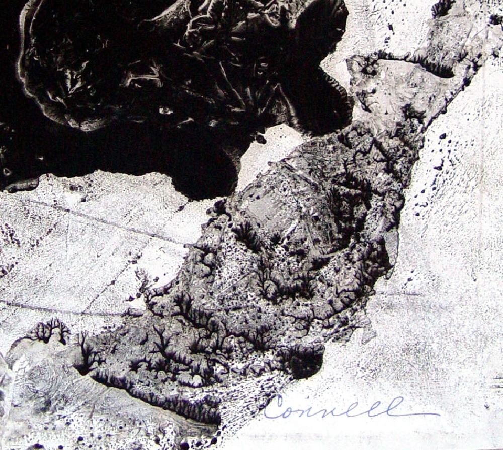Abstrakter Monodruck in Schwarz-Weiß auf dünnem Papier von Clyde Connell (Amerikaner, 1901-1998). Signiert unten rechts. Ungerahmt, Klebeband an der Außenkante, Randeinrisse.
