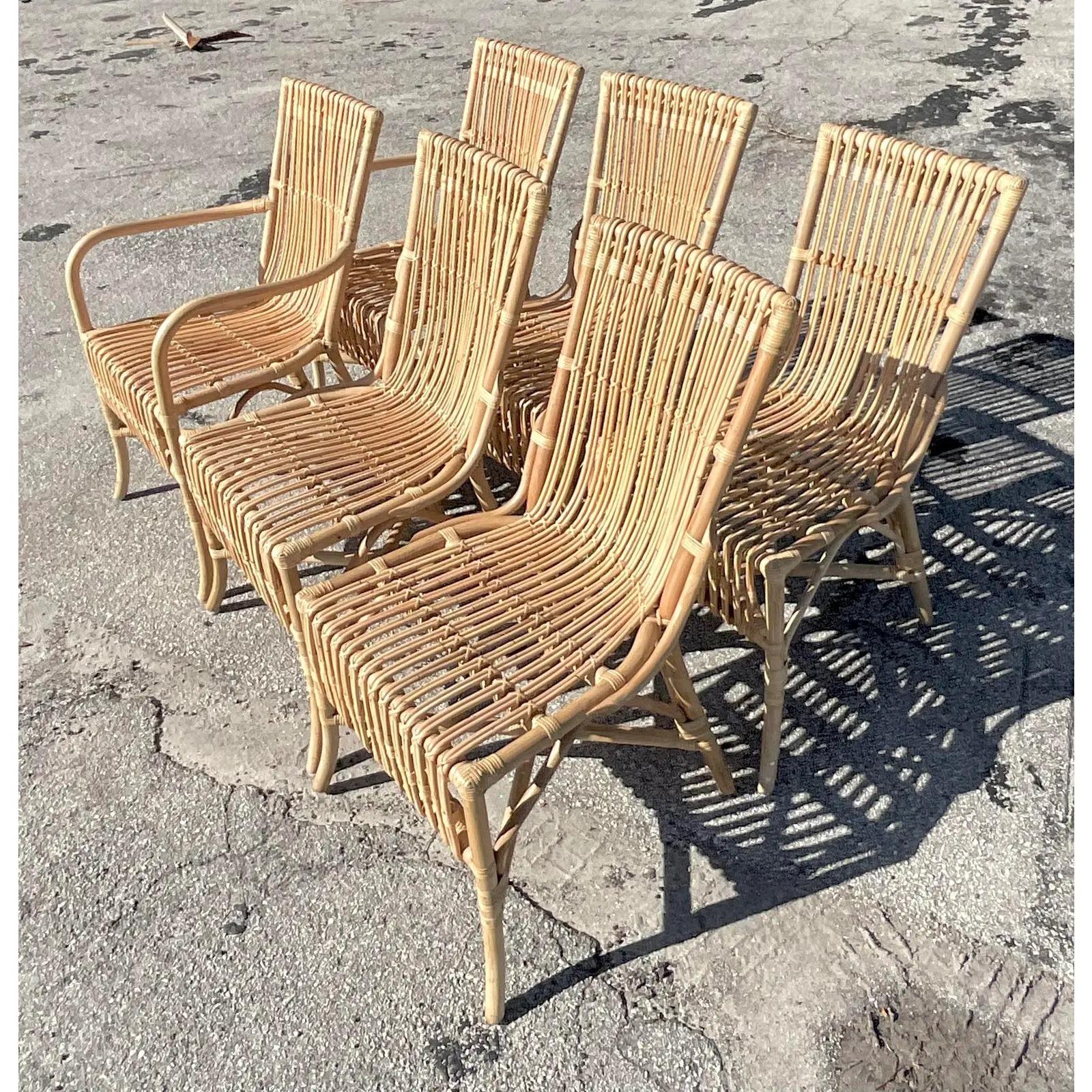 Vintage Coastal Amanda Lindroth “Ca’Liza” Rattan Side Chairs, Set of 6 4