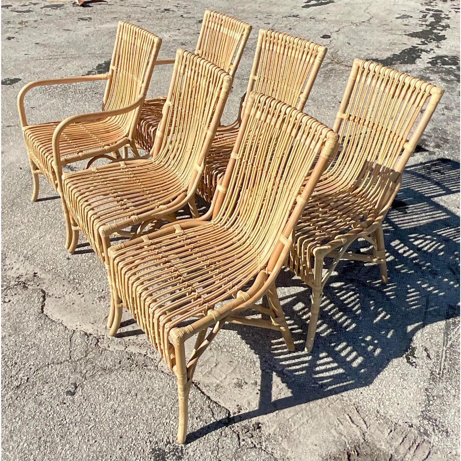 ca'liza rattan arm chair