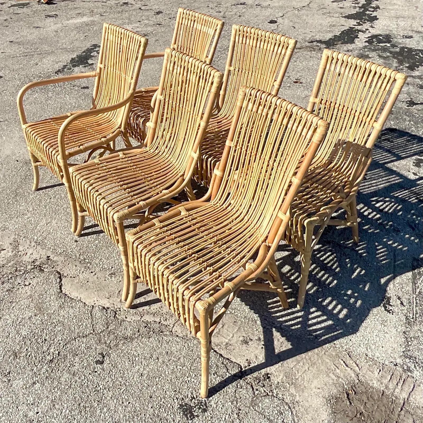 Vintage Coastal Amanda Lindroth “Ca’Liza” Rattan Side Chairs, Set of 6 1