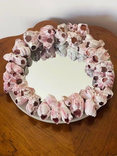 Gorgeous Vintage Coastal Barnacle Clusters Sea Shell Mirror