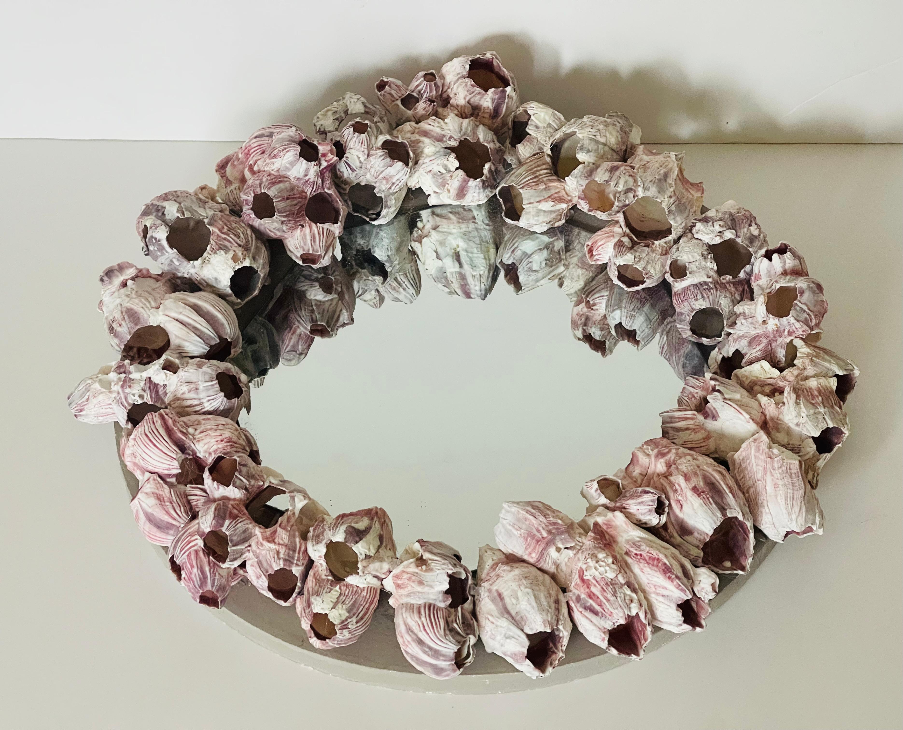 Vintage Coastal Barnacle Clusters Muschel Spiegel im Zustand „Gut“ im Angebot in Boca Raton, FL