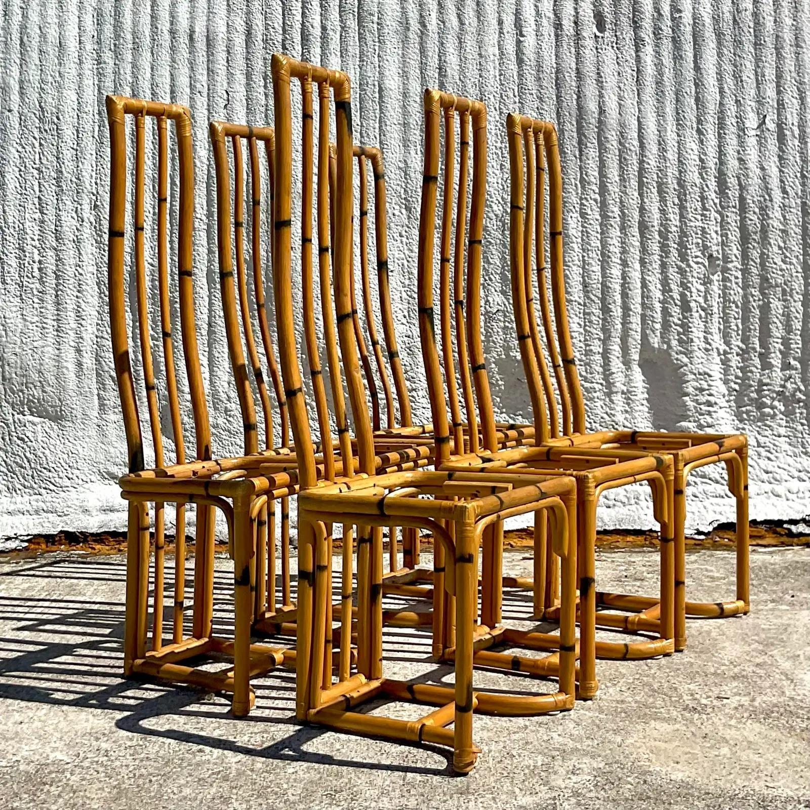 Vintage Coastal Bent Bamboo Dining Chairs - Set of 6 2