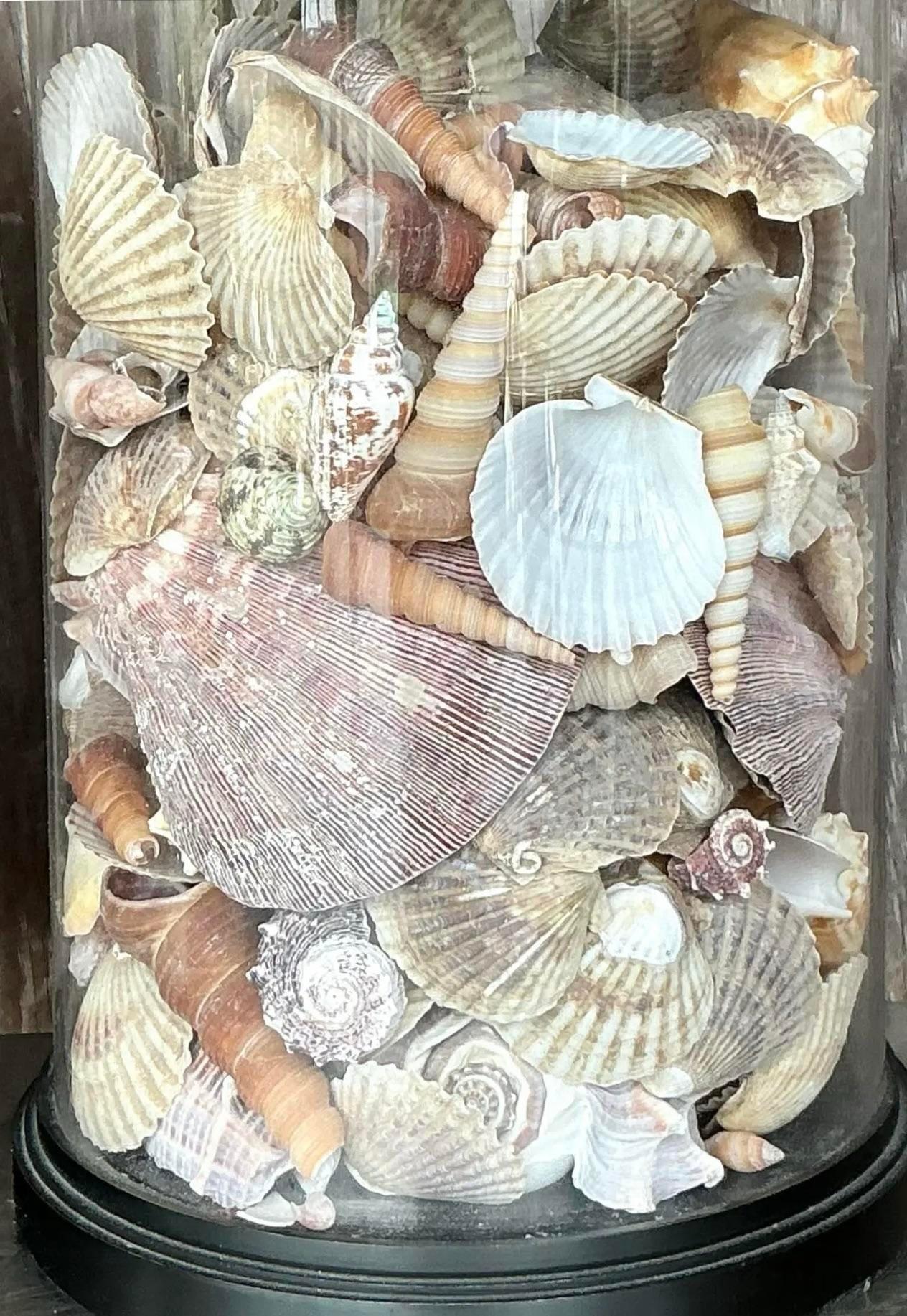 Illuminez votre espace avec une élégance côtière en utilisant cette paire de lampes collectrices Shell Vintage By. Parfaites pour les intérieurs de style américain, ces lampes présentent des motifs détaillés de coquillages en bronze qui ajoutent une