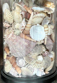 Vintage Coastal Bronze Shell Collector Lamps - a Pair