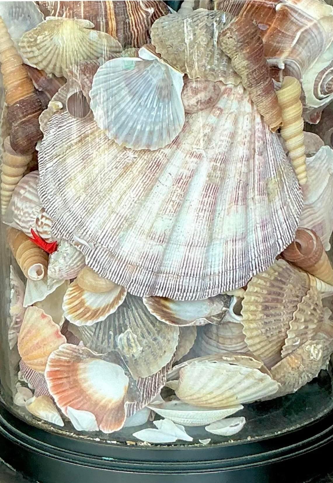 Américain Paire de lampes collectors en bronze à coquillage pour la côte - une paire en vente