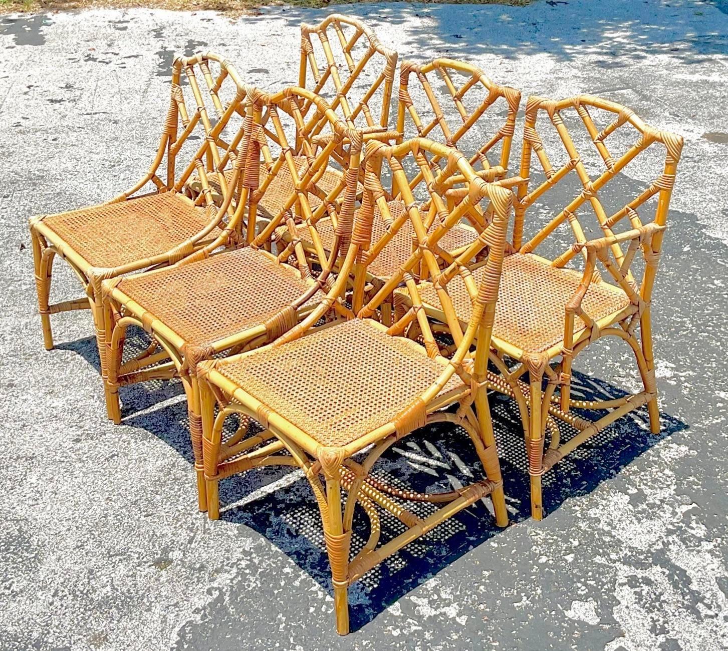 20th Century Vintage Coastal Chinese Chippendale Cane Dining Chairs - Set of 6 For Sale