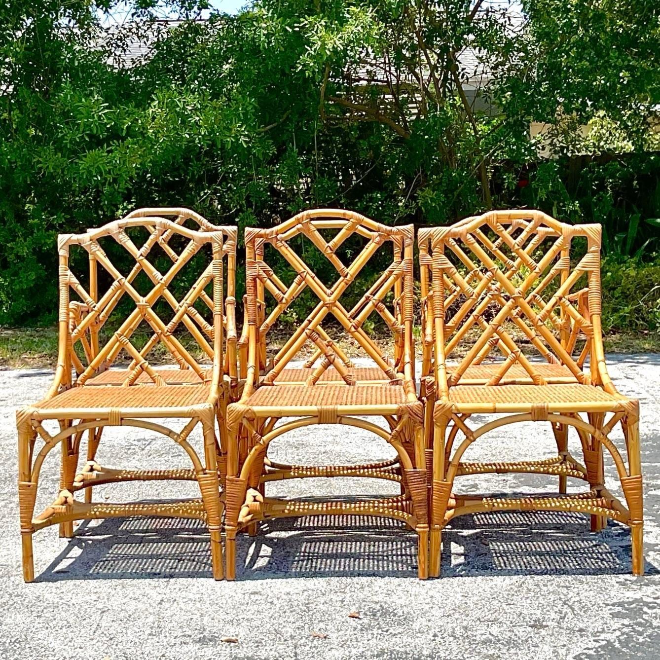 Vintage Coastal Chinese Chippendale Cane Dining Chairs - Set of 6 1