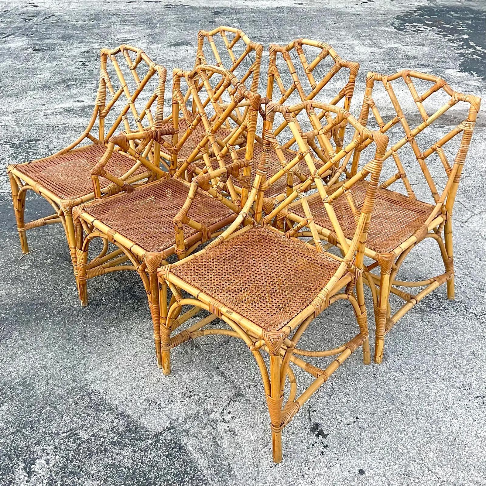 vintage rattan dining chairs -china -b2b -forum -blog -wikipedia -.cn -.gov -alibaba