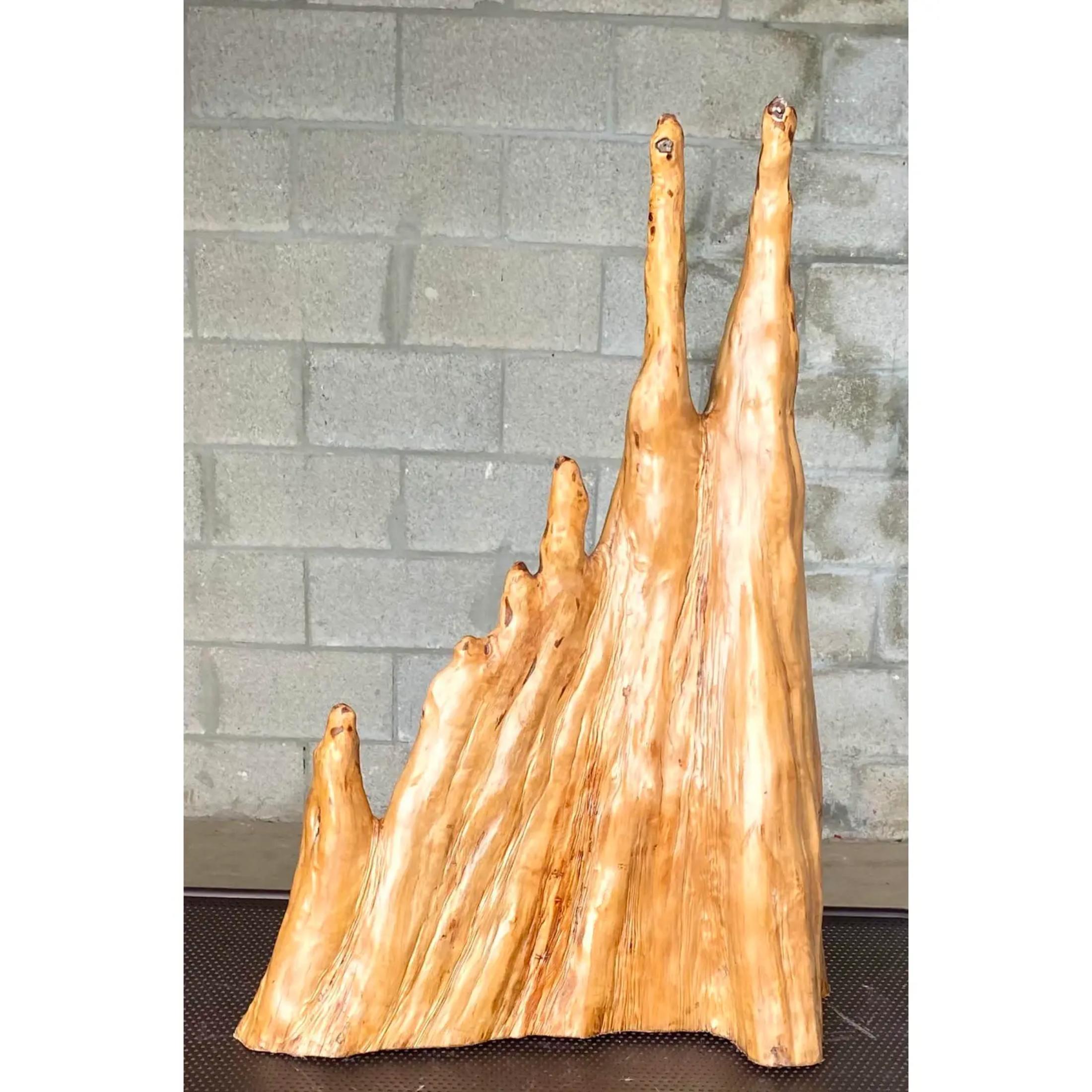 Amazing vintage coastal cypress knuckle sculpture. Exceptionally large and cut to stand alone. Beautiful and dramatic wood grain detail and warm color. Acquired from a Palm Beach estate