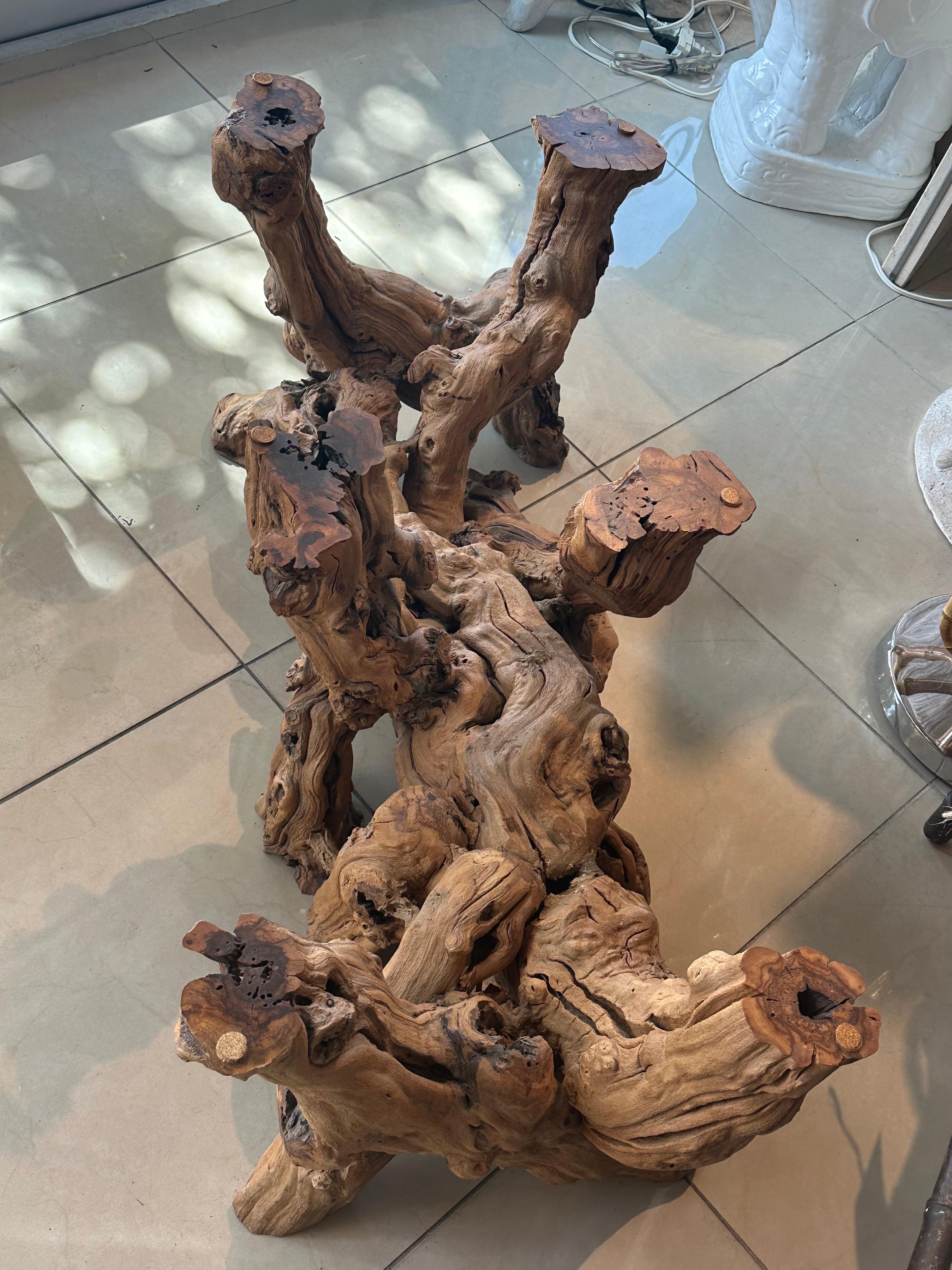 Mid-Century Modern Table basse de cocktail d'époque en bois de ronce de cyprès et bois flotté en vente